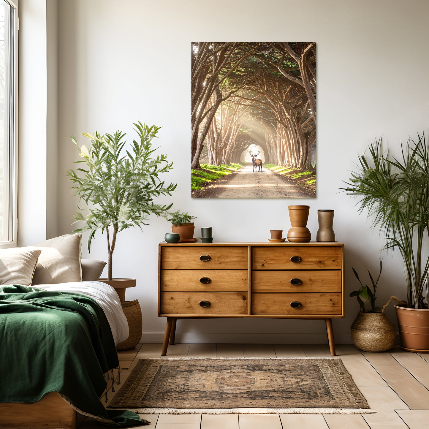 Cyprus Tree Tunnel Canvas